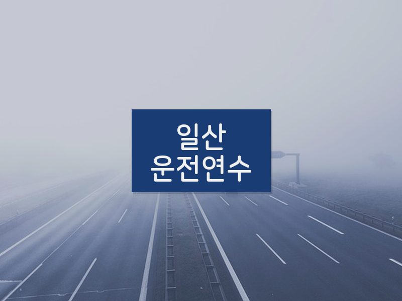 일산운전연수 후기