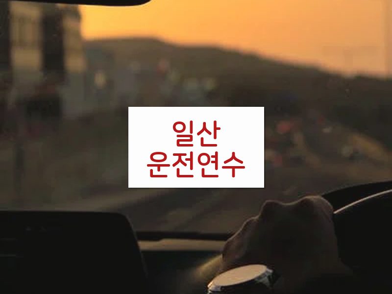 일산운전연수 후기