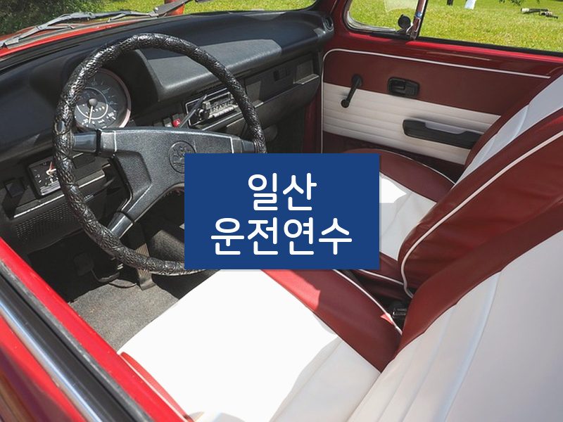일산운전연수 후기