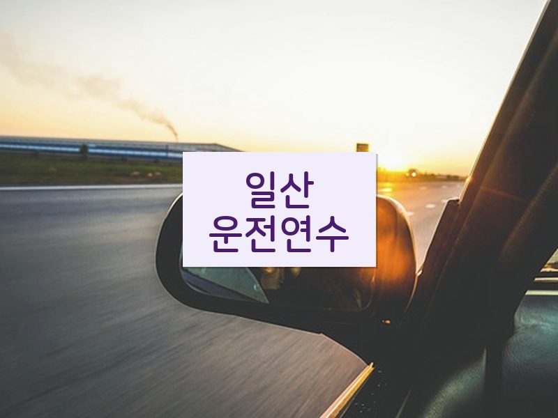 일산운전연수 후기