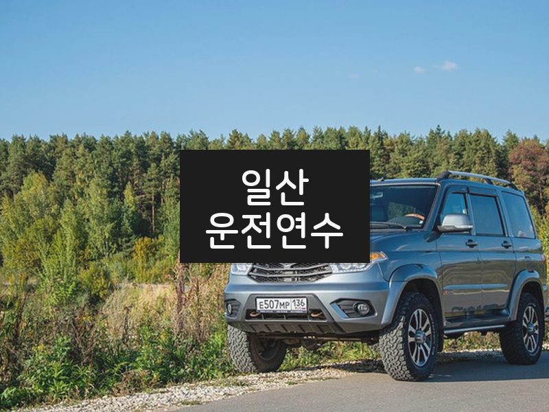 일산운전연수 후기