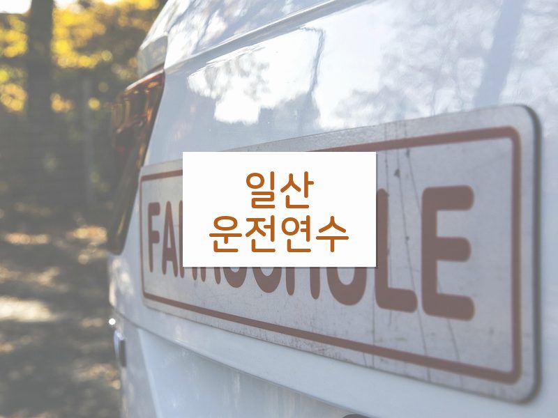 일산운전연수 후기