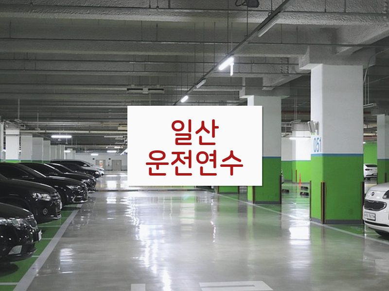 일산운전연수 후기