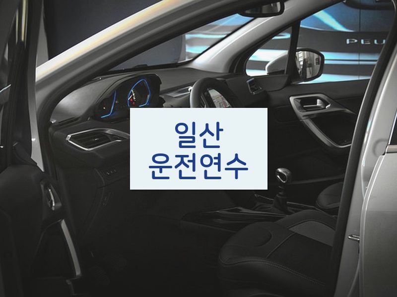 일산운전연수 후기