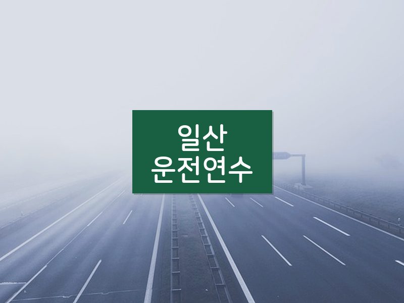 일산운전연수 후기