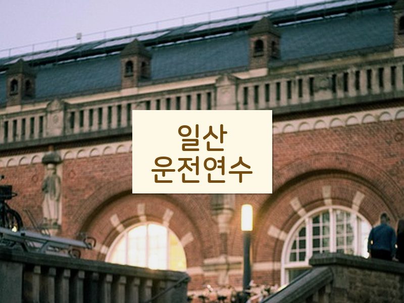 일산운전연수 후기