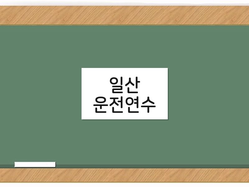 일산운전연수 후기