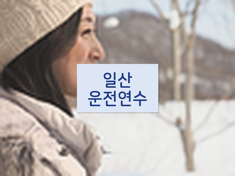 일산운전연수 후기