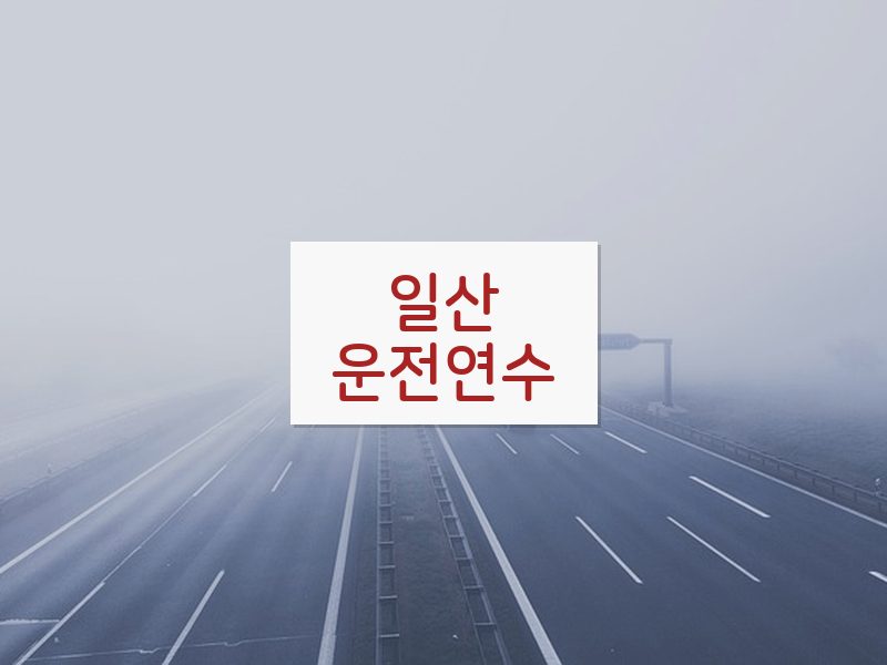 일산운전연수 후기