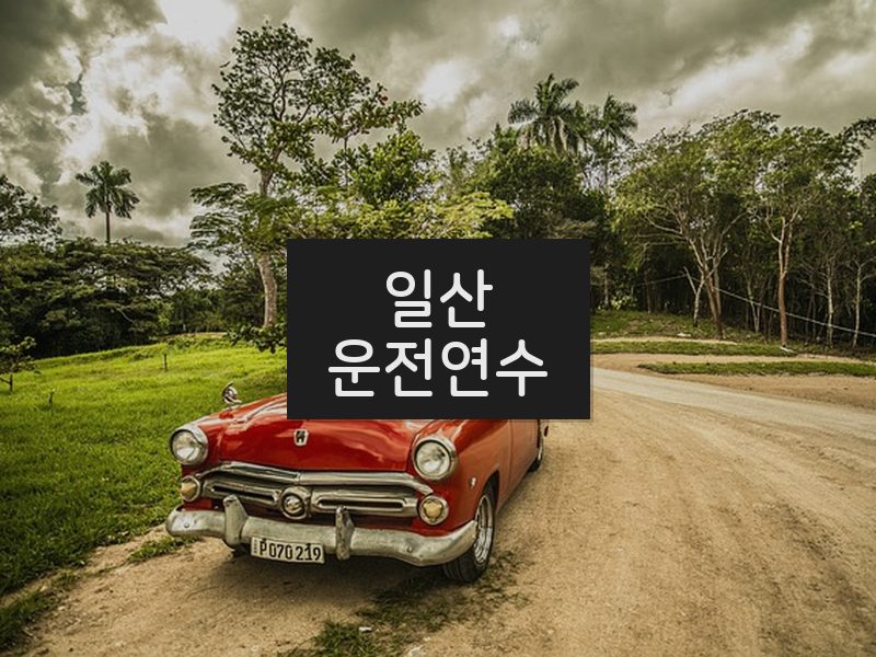 일산운전연수 후기