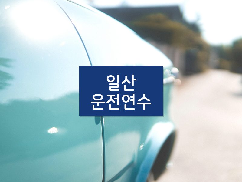 일산운전연수 후기