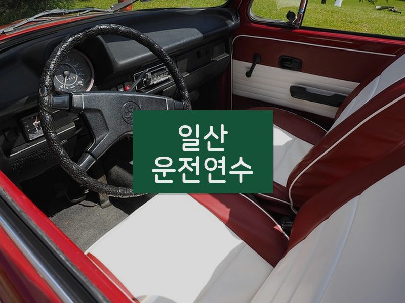 일산운전연수 후기