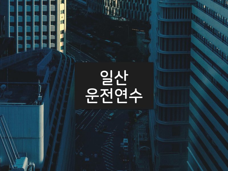 일산운전연수 후기