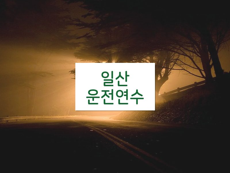 일산운전연수 후기