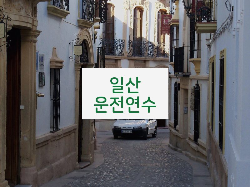 일산운전연수 후기