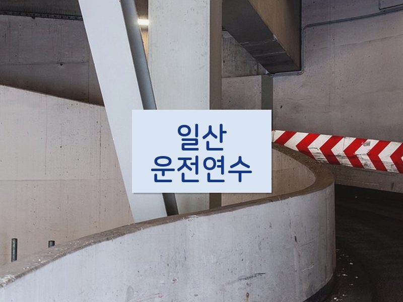 일산운전연수 후기