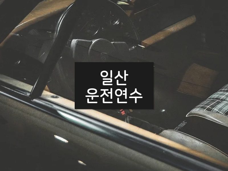 일산운전연수 후기