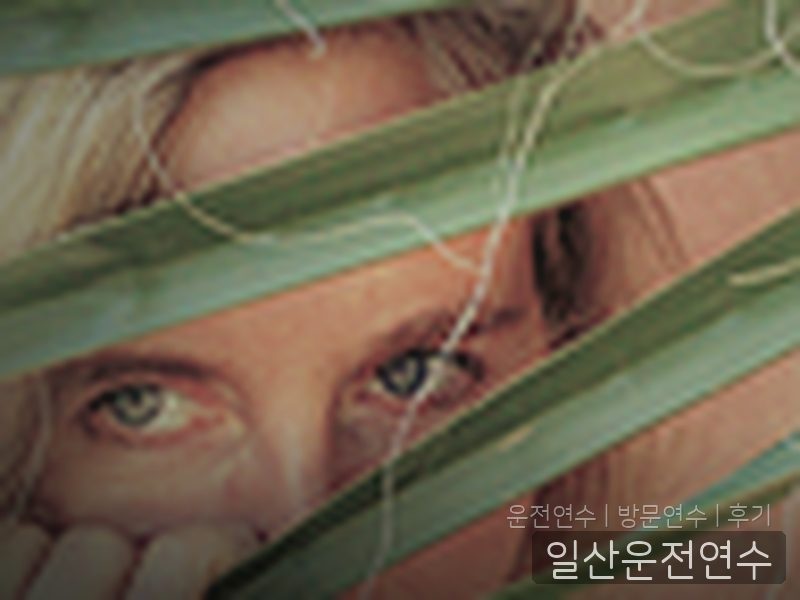 일산운전연수 후기