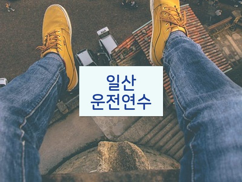 일산운전연수 후기