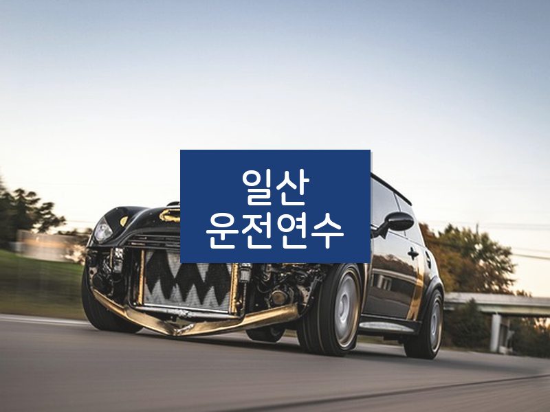 일산운전연수 후기