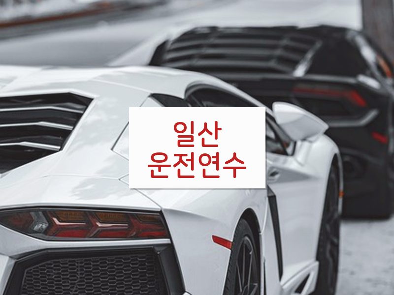 일산운전연수 후기