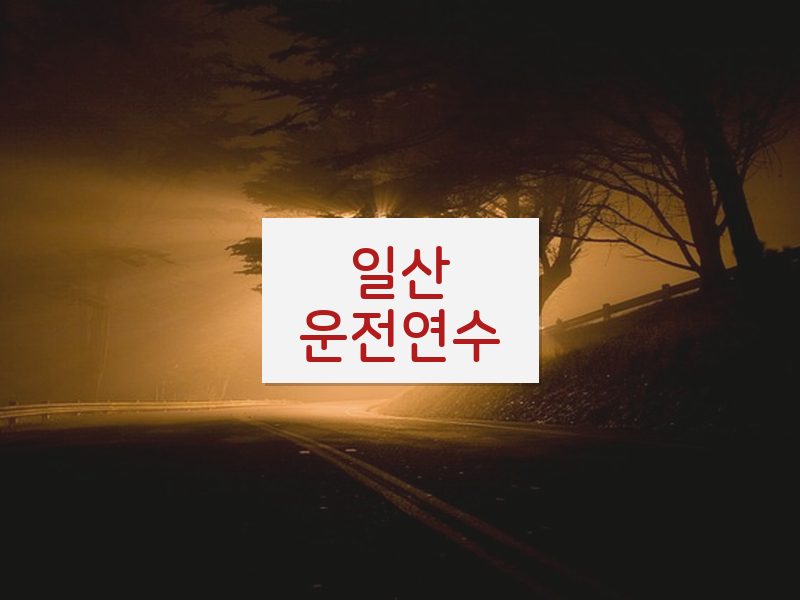 일산운전연수 후기