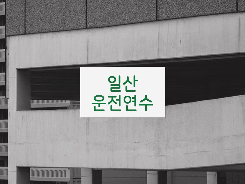 일산운전연수 후기