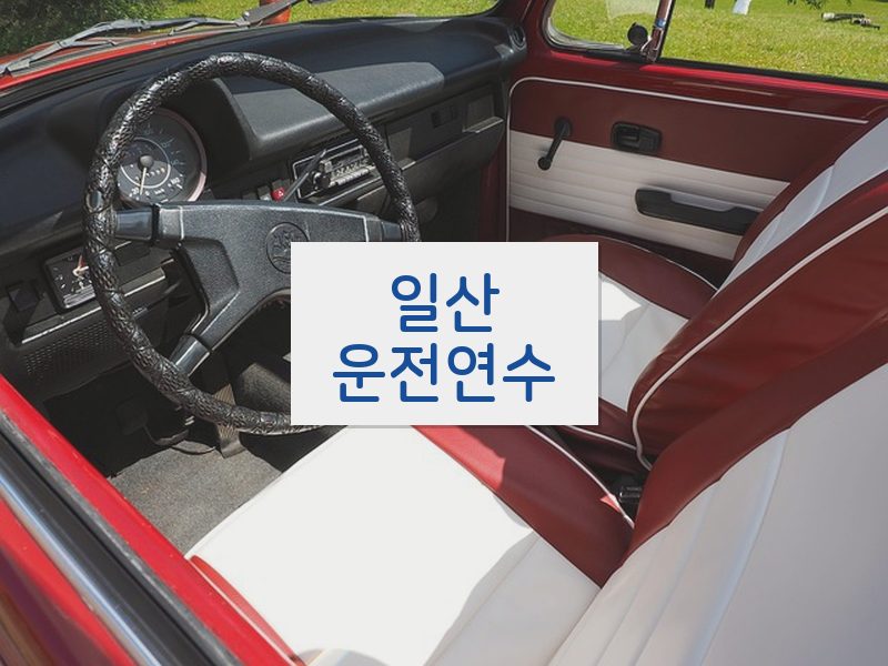 일산운전연수 후기