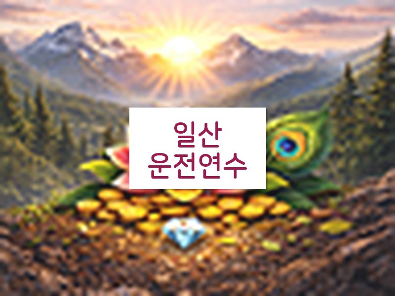 일산운전연수 후기