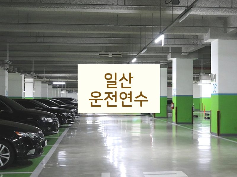 일산운전연수 후기