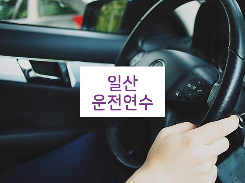 일산운전연수 후기