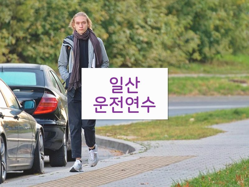 일산운전연수 후기