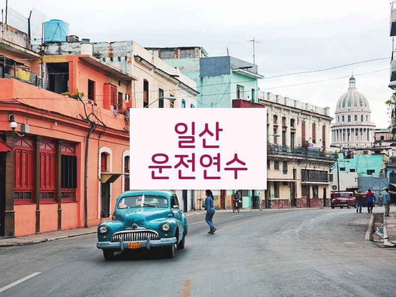 일산운전연수 후기