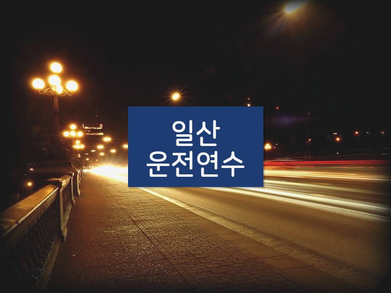 일산운전연수 후기