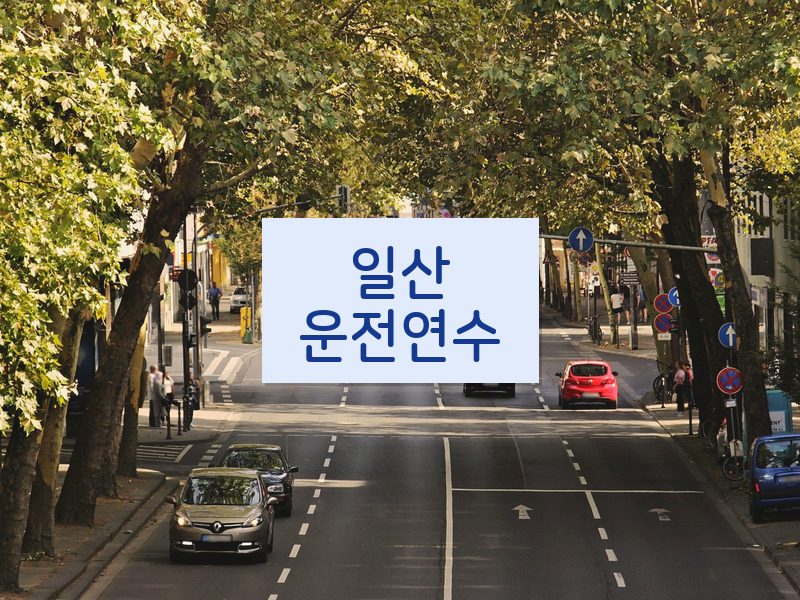 일산운전연수 후기