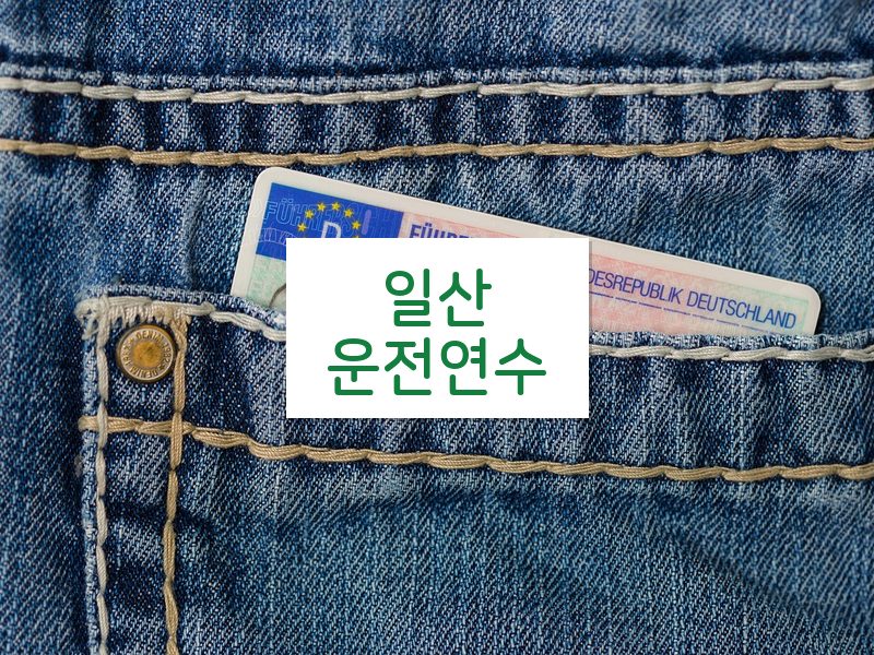 일산운전연수 후기