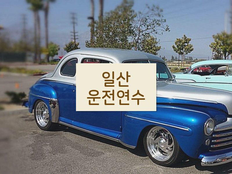 일산운전연수 후기