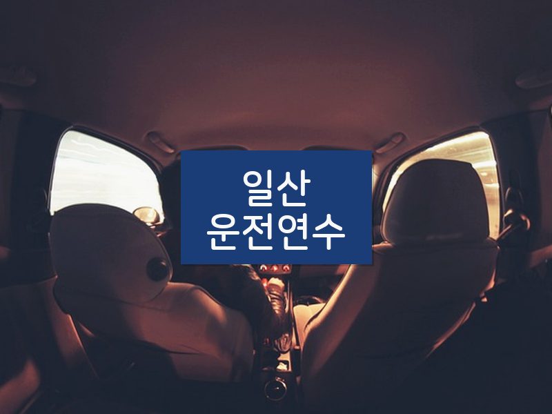 일산운전연수 후기