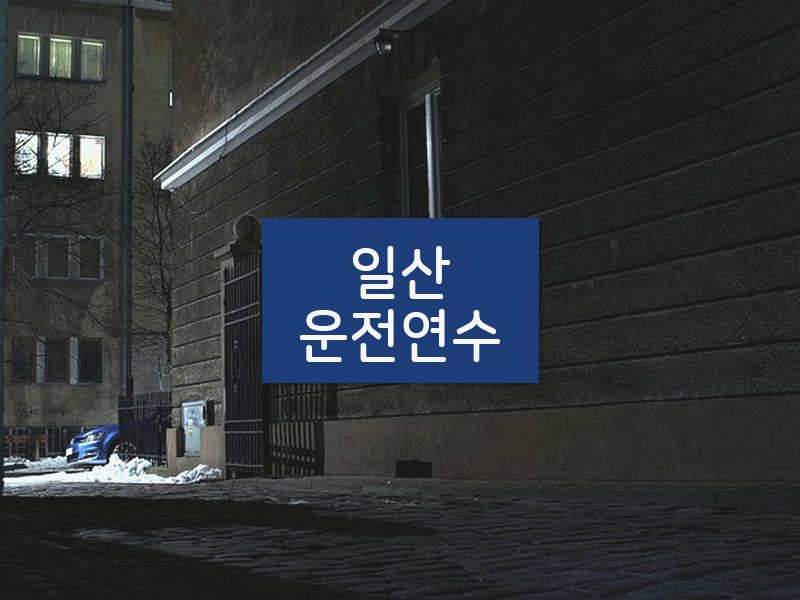 일산운전연수 후기