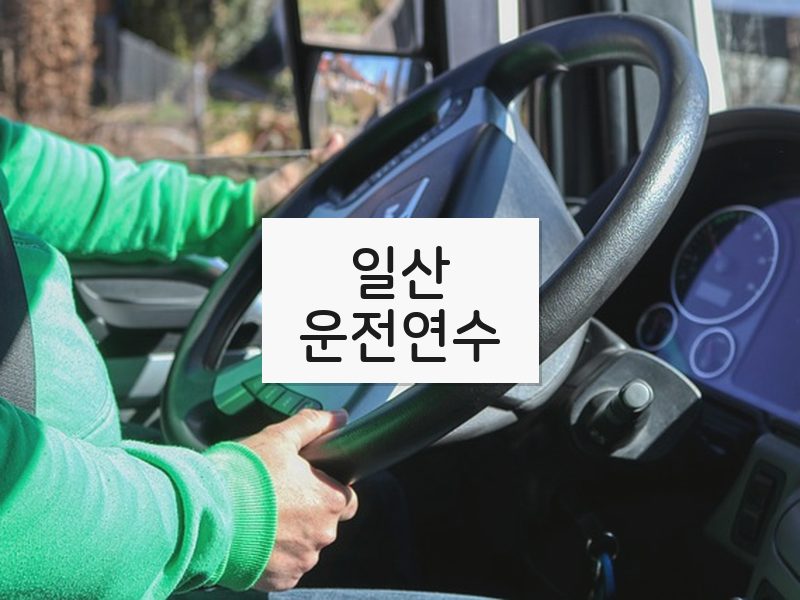 일산운전연수 후기