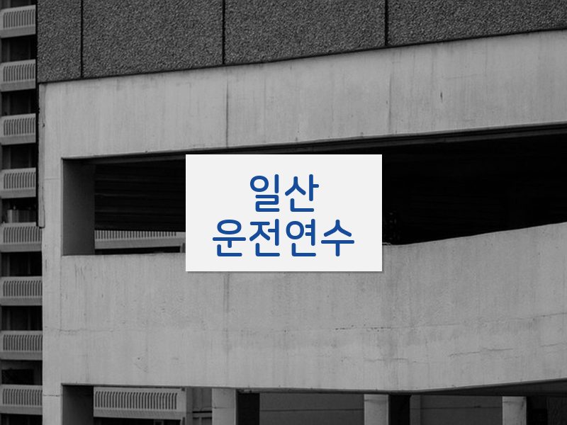 일산운전연수 후기