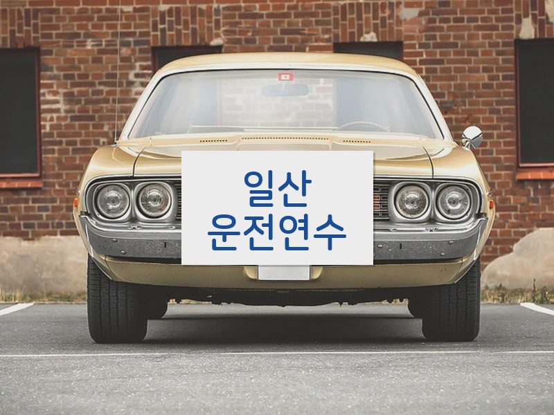 일산운전연수 후기