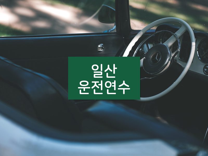 일산운전연수 후기