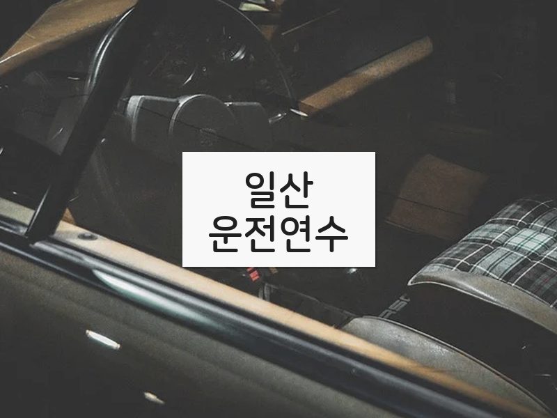 일산운전연수 후기