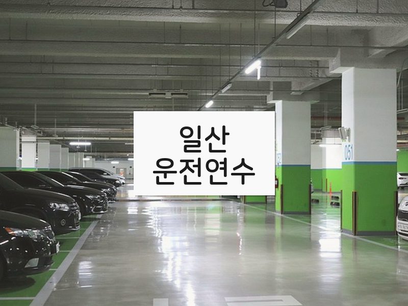 일산운전연수 후기