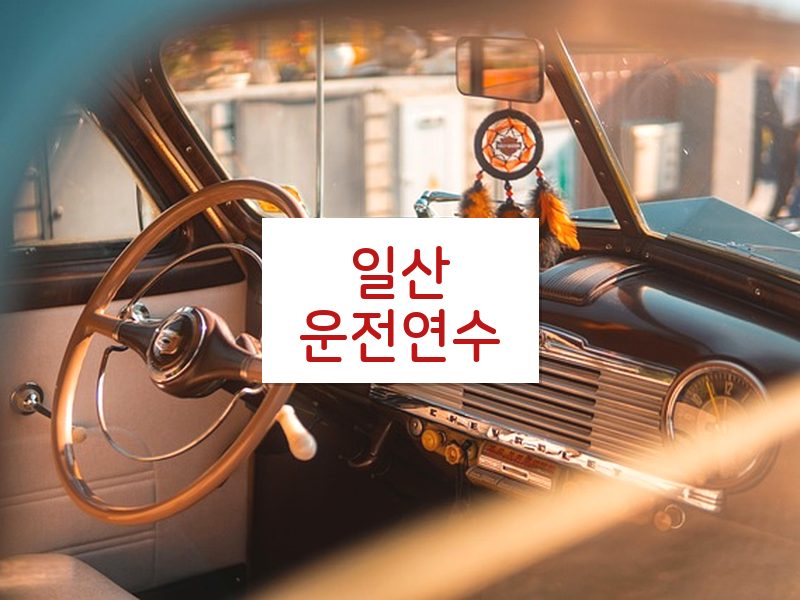 일산운전연수 후기