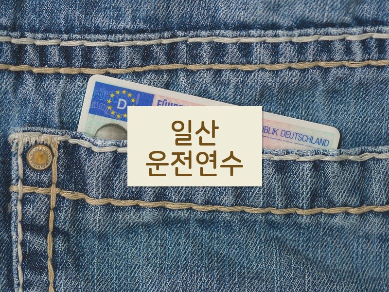 일산운전연수 후기