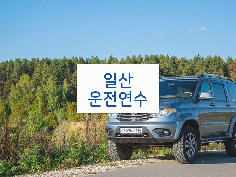 일산운전연수 후기