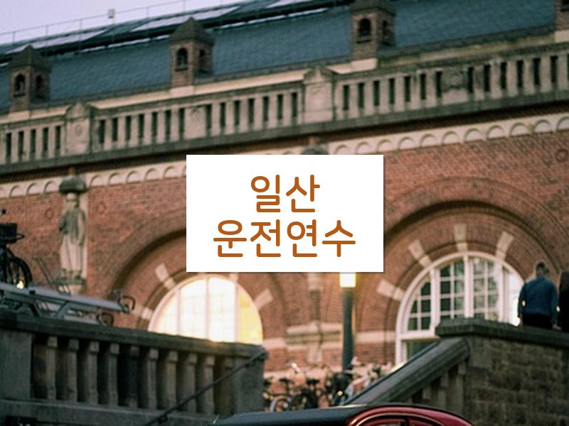 일산운전연수 후기