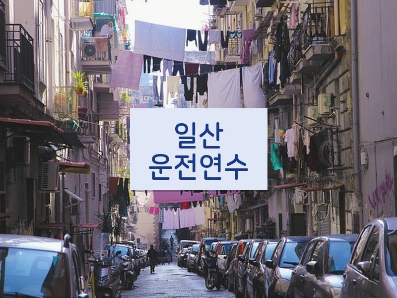 일산운전연수 후기